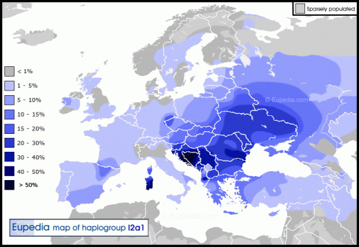 Haplogroup I2a.