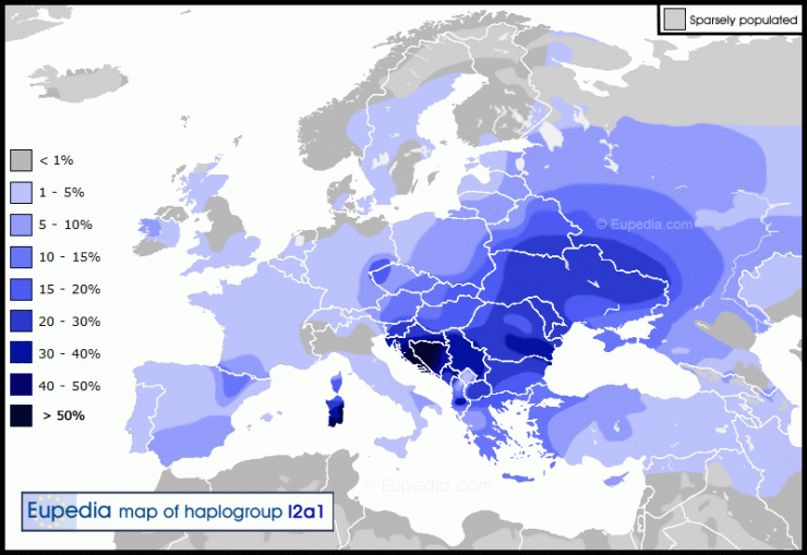 Haplogroup I2a.